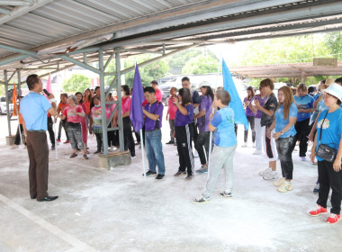 ออกกำลังกาย เสริมสร้างสมดุลชีวิต พารามิเตอร์รูปภาพ 2